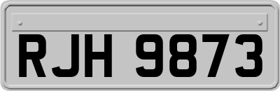 RJH9873