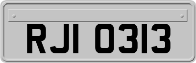 RJI0313