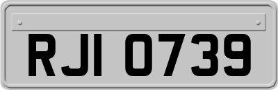 RJI0739