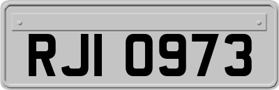 RJI0973