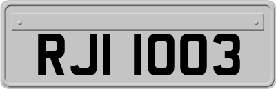 RJI1003