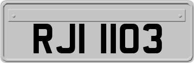 RJI1103