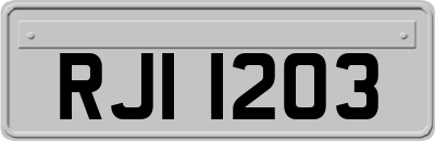 RJI1203