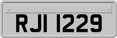 RJI1229