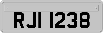 RJI1238