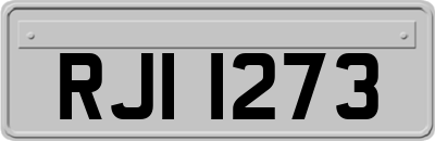 RJI1273