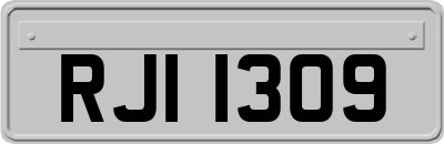 RJI1309