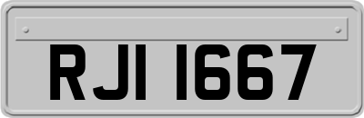 RJI1667