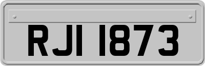 RJI1873