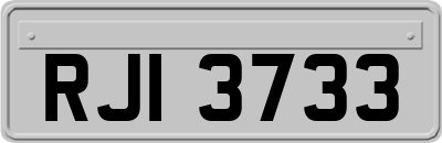 RJI3733