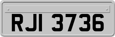 RJI3736