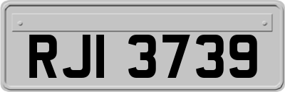 RJI3739