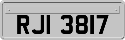 RJI3817