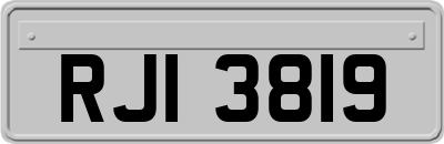 RJI3819