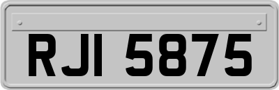 RJI5875