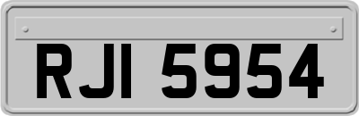 RJI5954