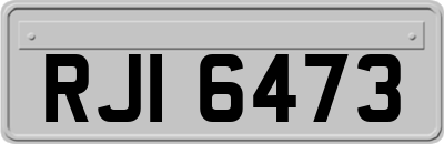 RJI6473