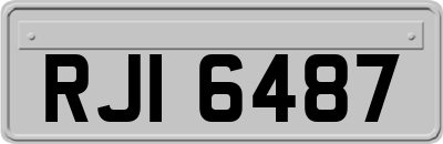 RJI6487