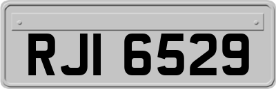 RJI6529