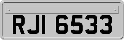 RJI6533