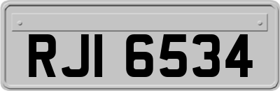 RJI6534