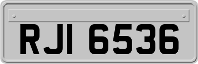 RJI6536