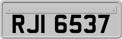 RJI6537