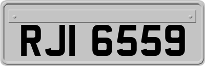 RJI6559