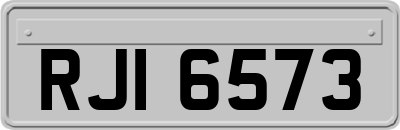 RJI6573