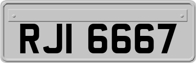 RJI6667