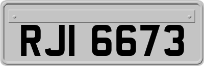 RJI6673