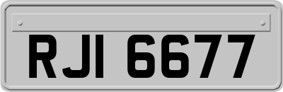 RJI6677