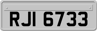 RJI6733