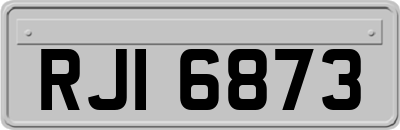 RJI6873