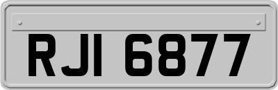 RJI6877