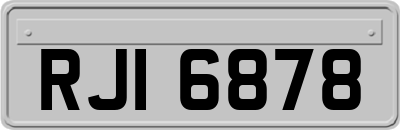 RJI6878