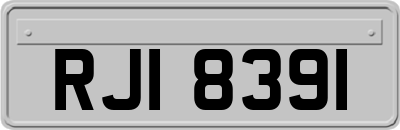 RJI8391