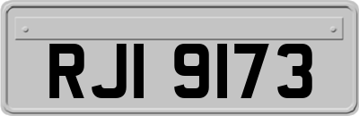 RJI9173