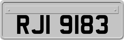 RJI9183