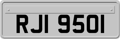 RJI9501