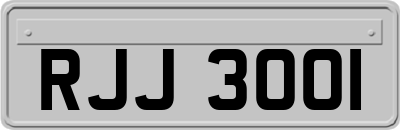 RJJ3001