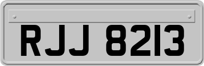 RJJ8213