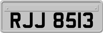 RJJ8513