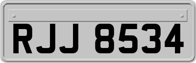 RJJ8534