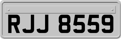 RJJ8559