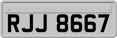 RJJ8667