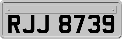 RJJ8739