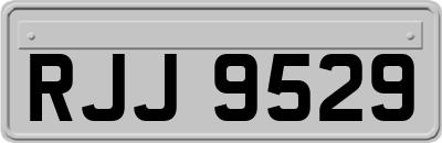 RJJ9529