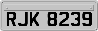 RJK8239