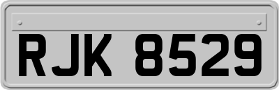 RJK8529